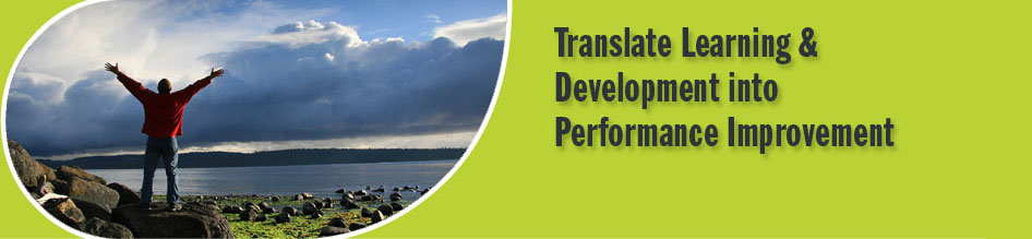 Translate Learning & Development into Performance Improvement